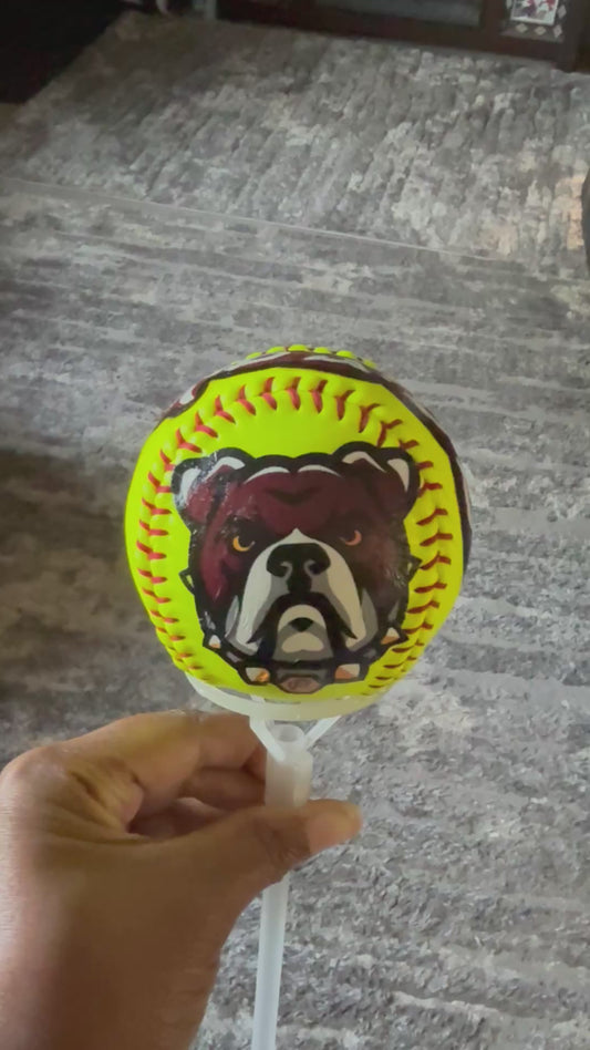 Custom Baseball/Softball